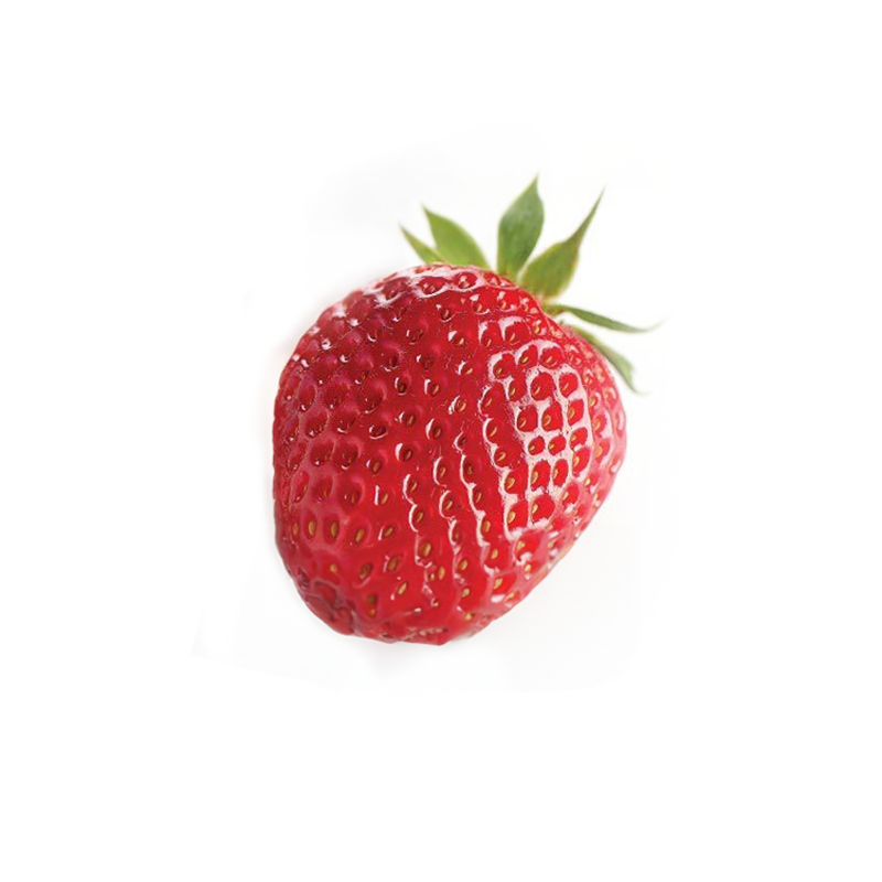 Erdbeeren-Gariguette-