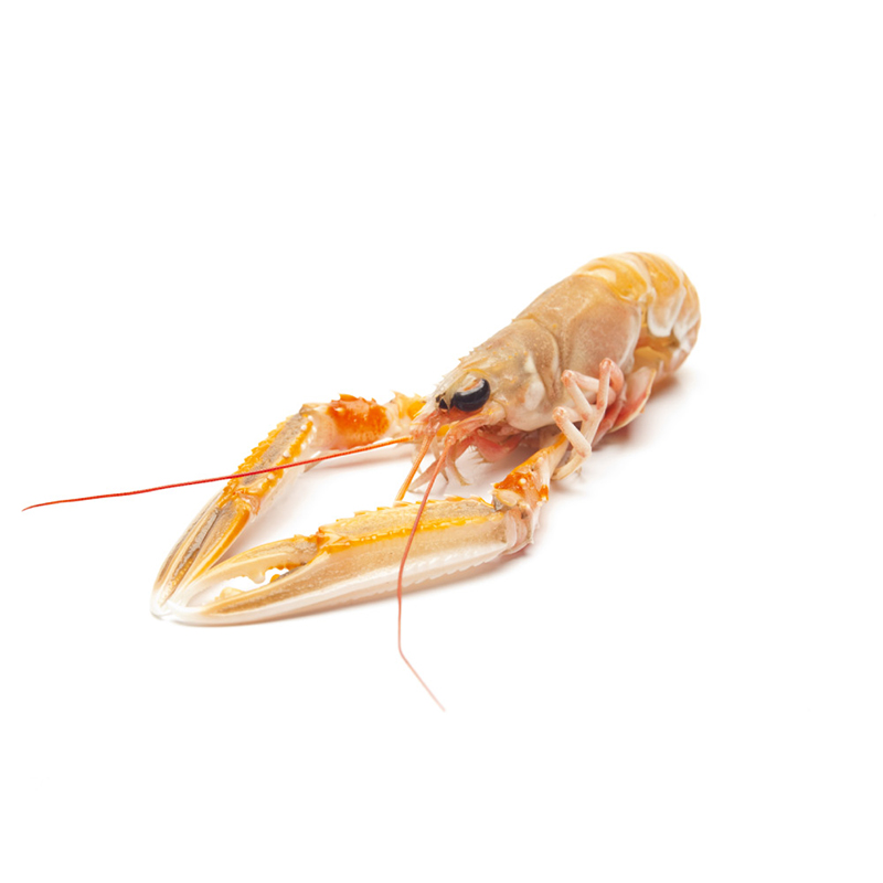 Langoustines Kaisergraat