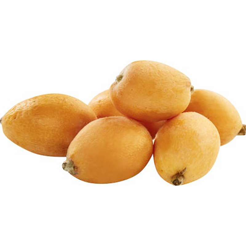 MISPEL-LOQUAT