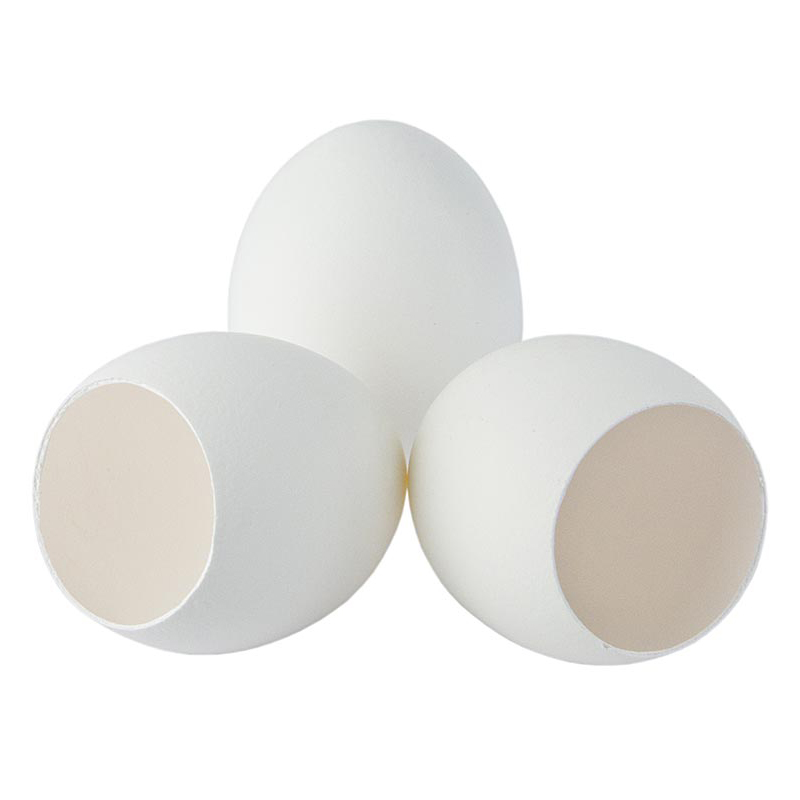 Leere Eierschalen weiss  120Stk Krt DE