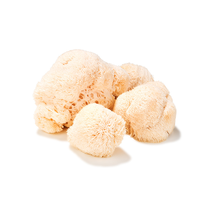Pom Pom (Pilze) weiß