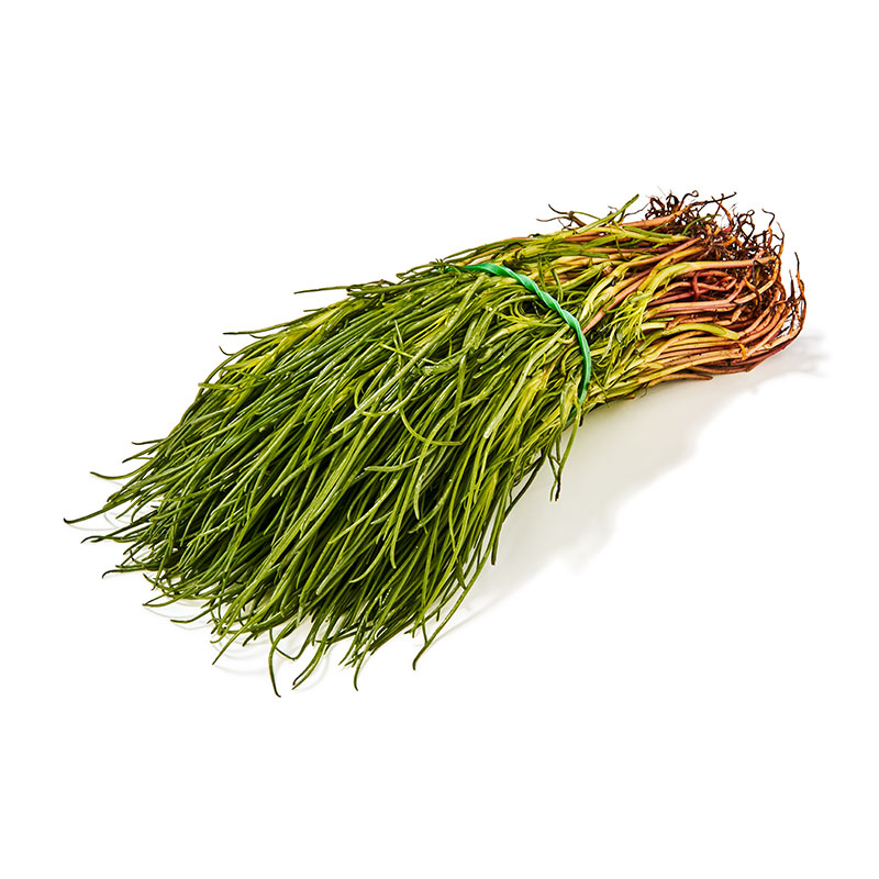 Barbe de moine