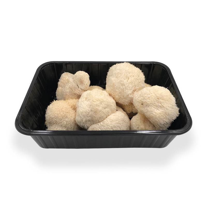 Pom Pom weiss Zucht 1kgKi NL