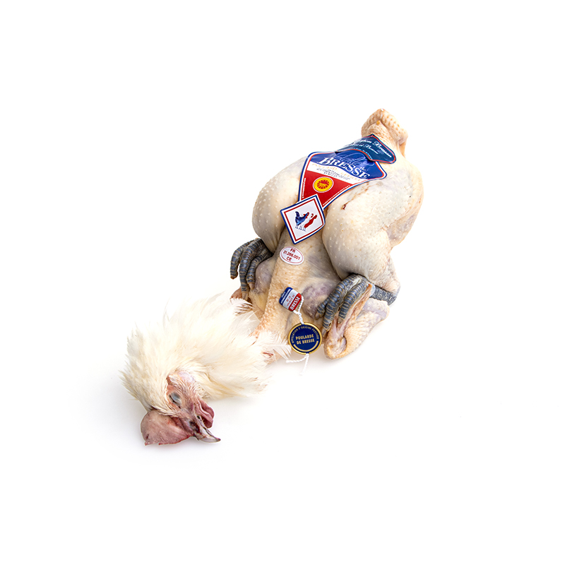 Poularde de Bresse