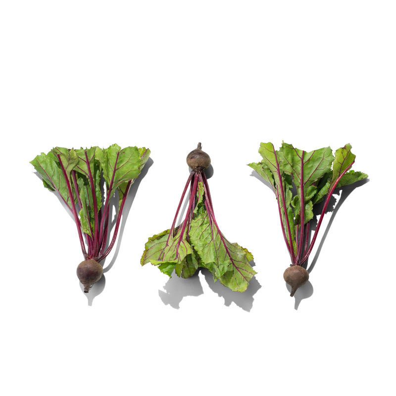 Mini-Randen-rot-