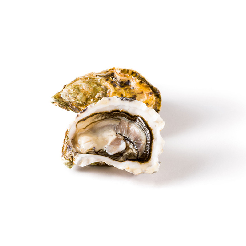 Auster creuse spéciale Nr. 2