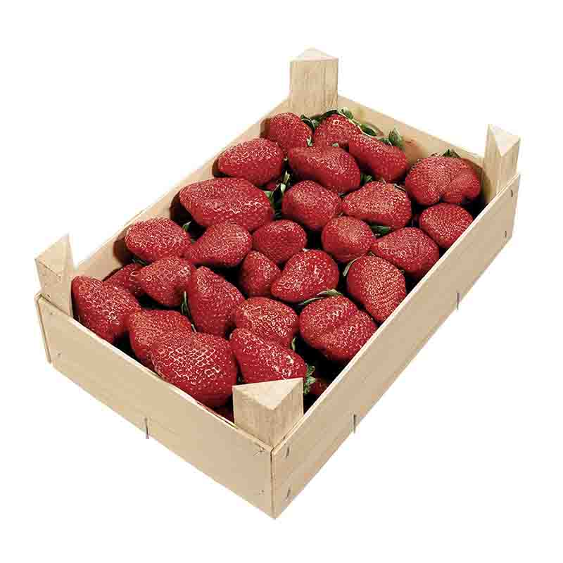 ERDBEEREN GELEGT