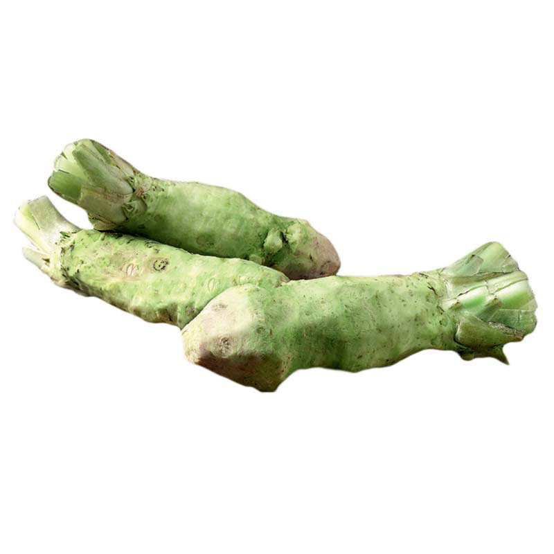 Wasabiwurzel