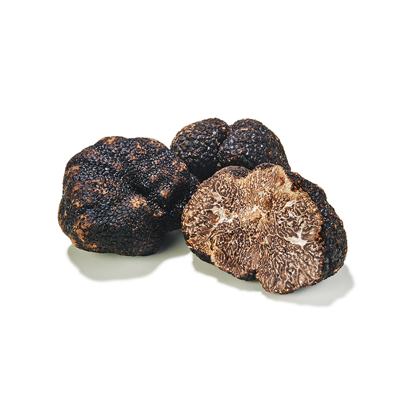 Trüffel schwarz Périgord