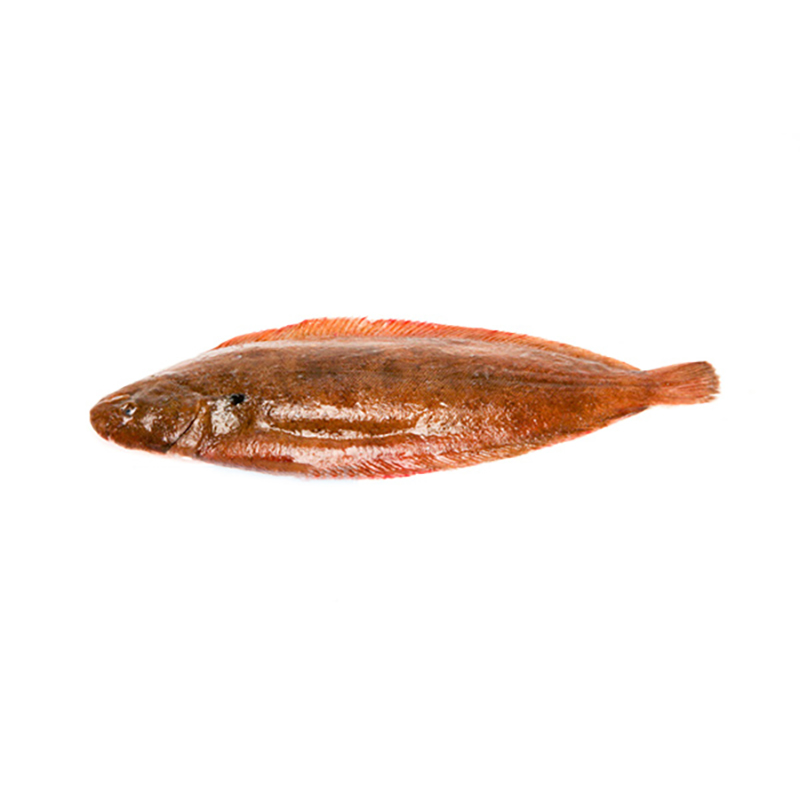 Seezungen 300-400g Bretagne