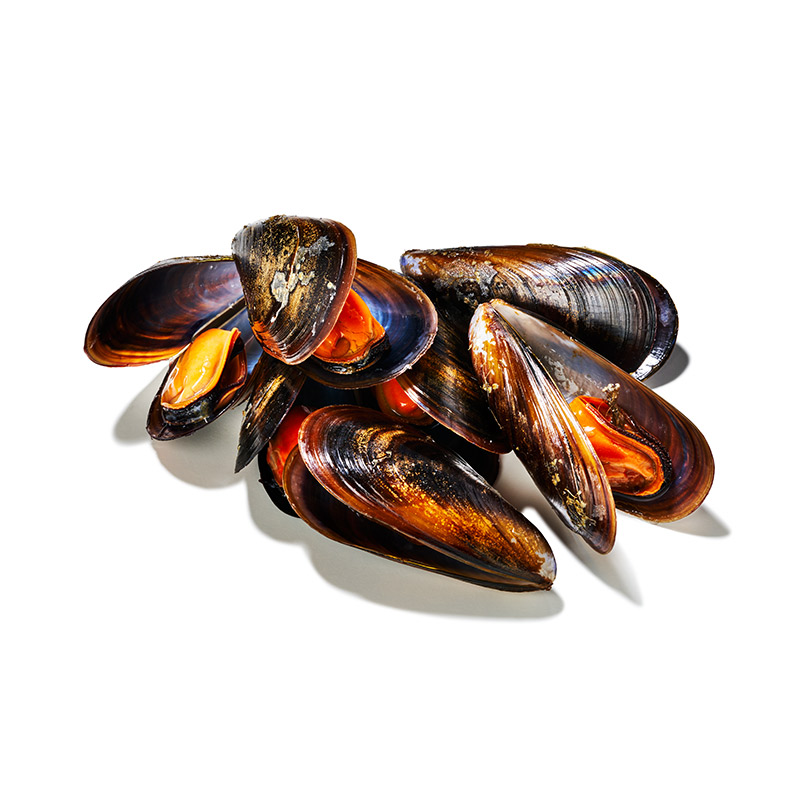 Muschelfleisch gekocht