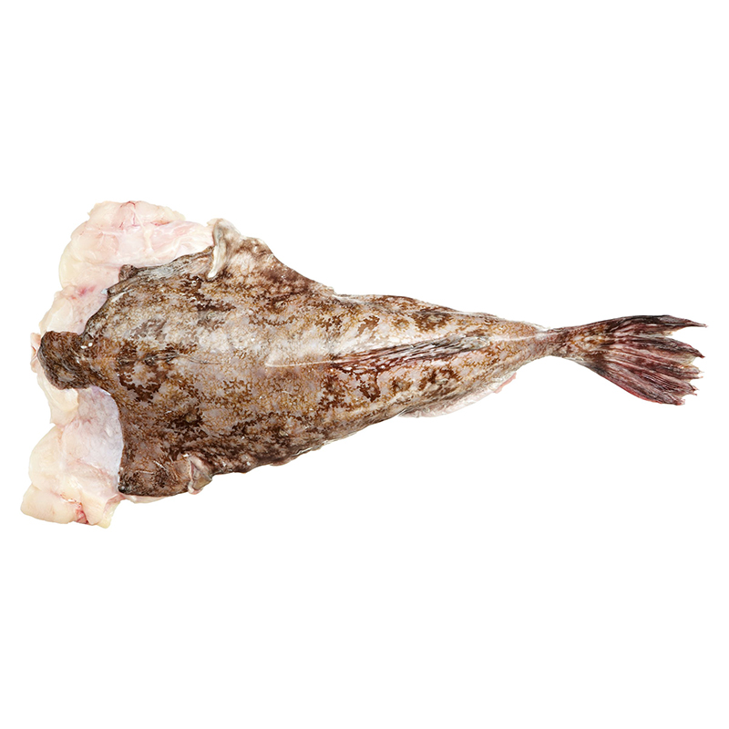 Seeteufel 2-4kgStk o.K. NO