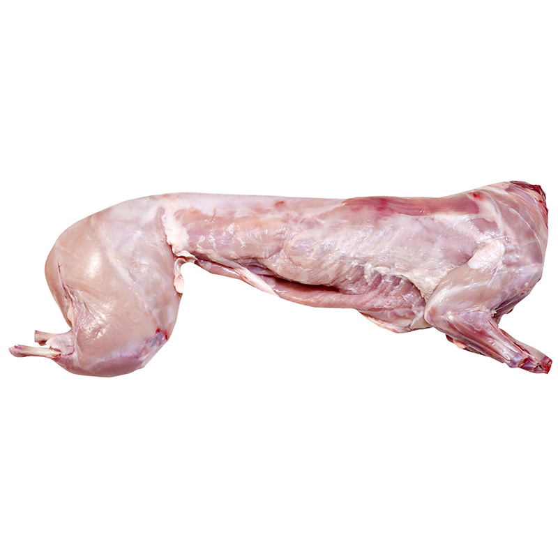 Kaninchen oKopf oLeber