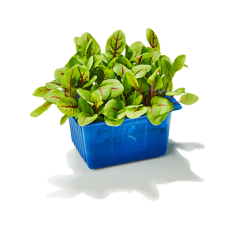 Koppert Vene Cress - oseille sanguine