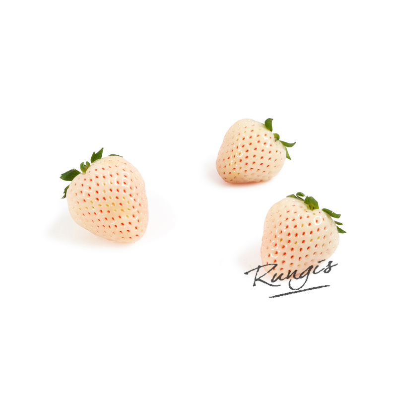 Ananaserdbeeren 12x125gCrt NL