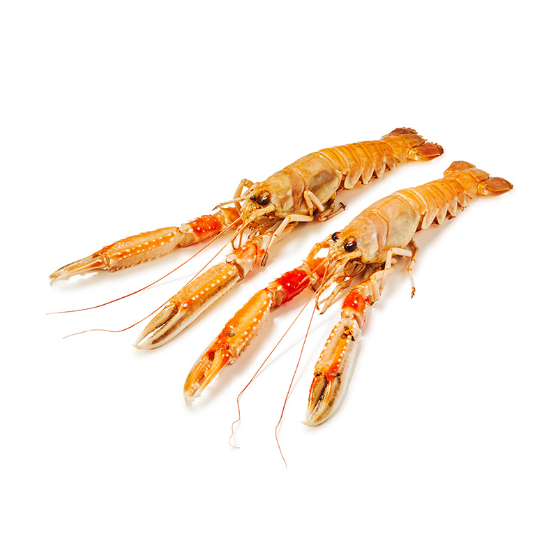Langoustines 10/15