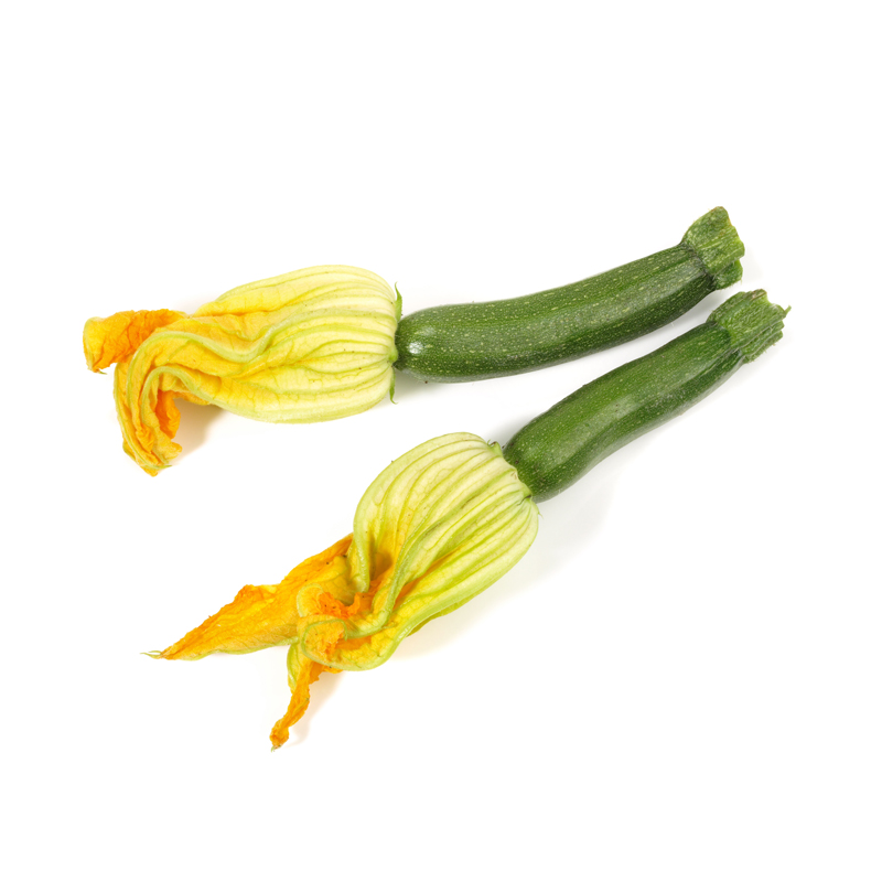 Zucchiniblüten-mit-Zucchini-AD-