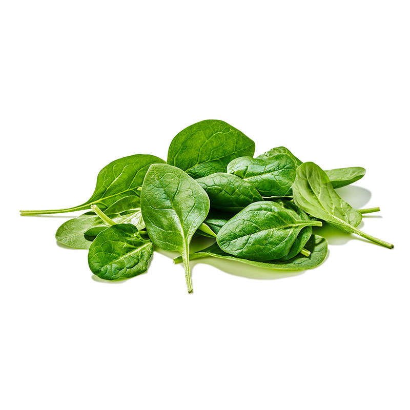 Baby épinard