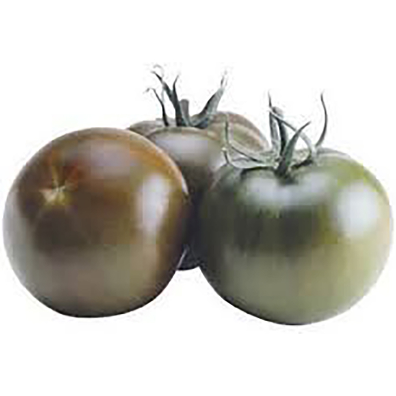 Tomaten schwarz