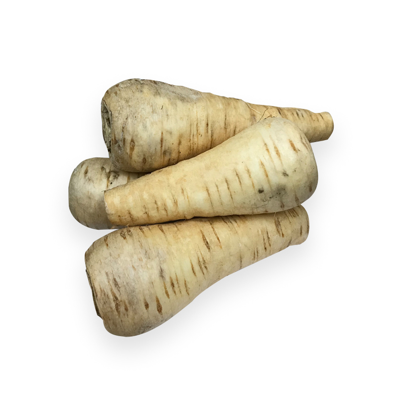 Pastinake 5kgKi EU