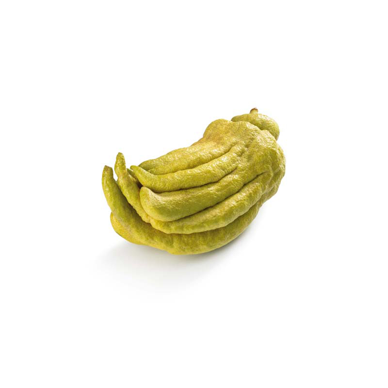 Buddah's Hand-OWN