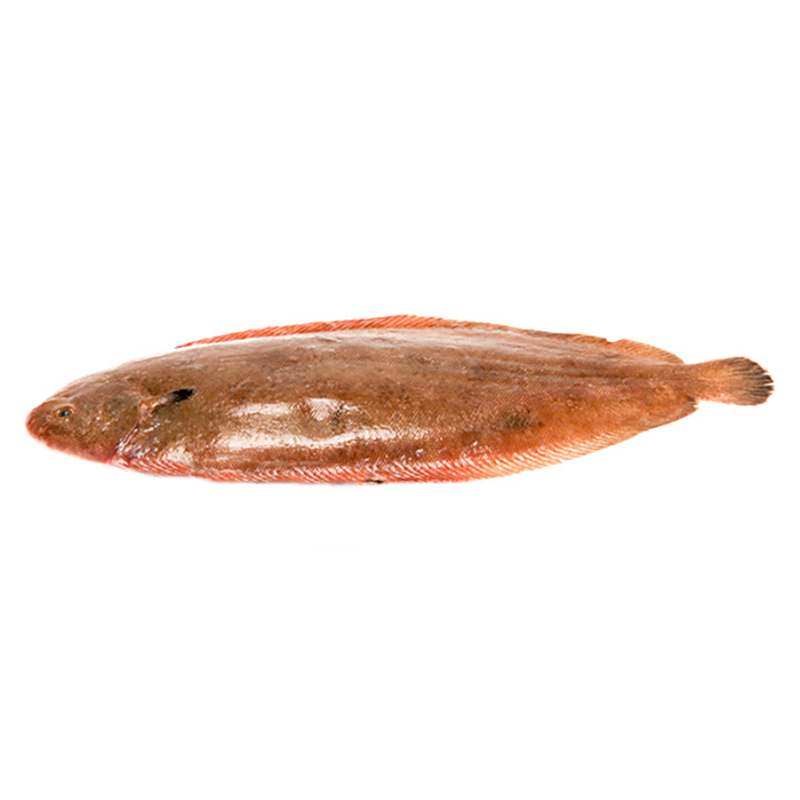 Seezungen 600-800g Bretagne