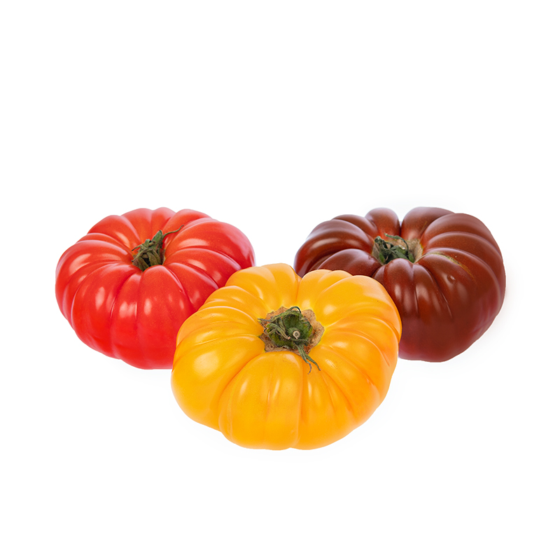 Tomaten Marmande Mix schwarz/rot/gelb- Seeland