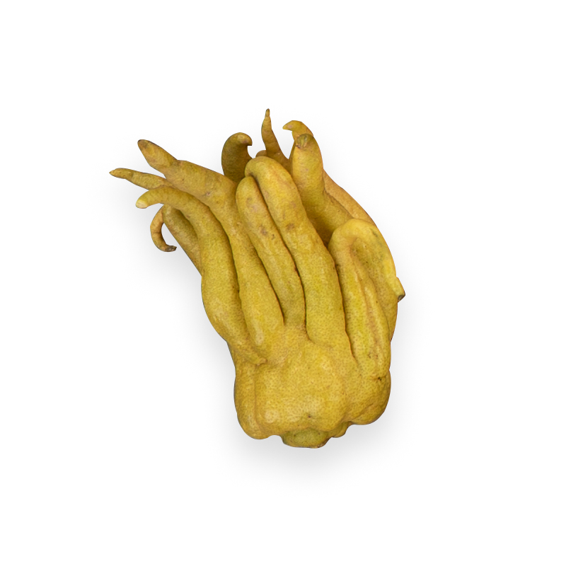 Buddah's Hand grün gelb       ca.200gStk