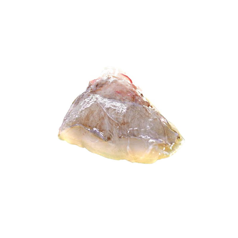 Baudroiebäckli wildfang