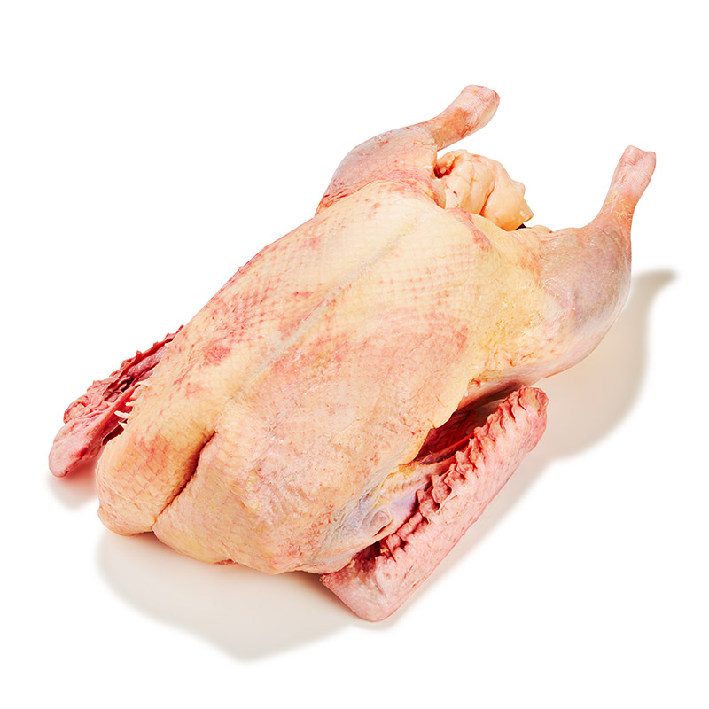 Gans 4-Korn pfannenfertig
