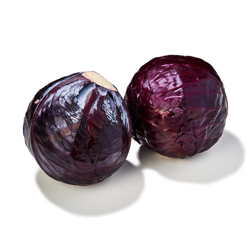 Chou rouge (S)