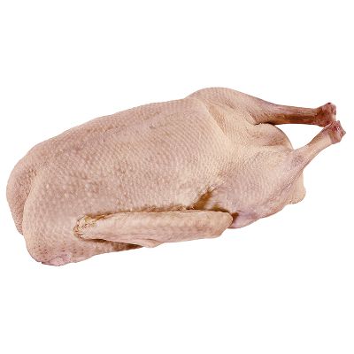 Gans pfannenfertig