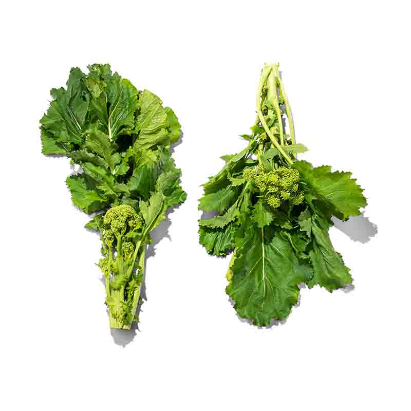 Cima-di-Rapa-MD-