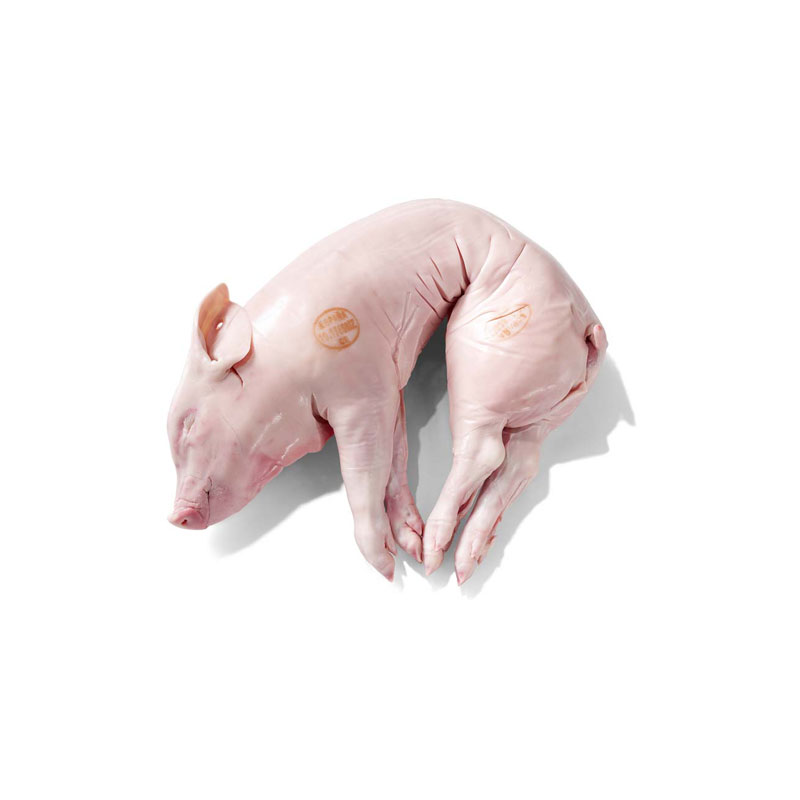 Spanferkel