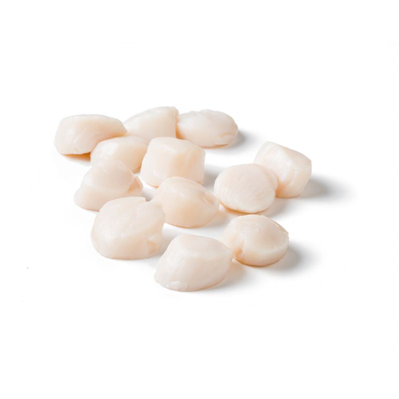 MSC Hotate (noix de coquille)