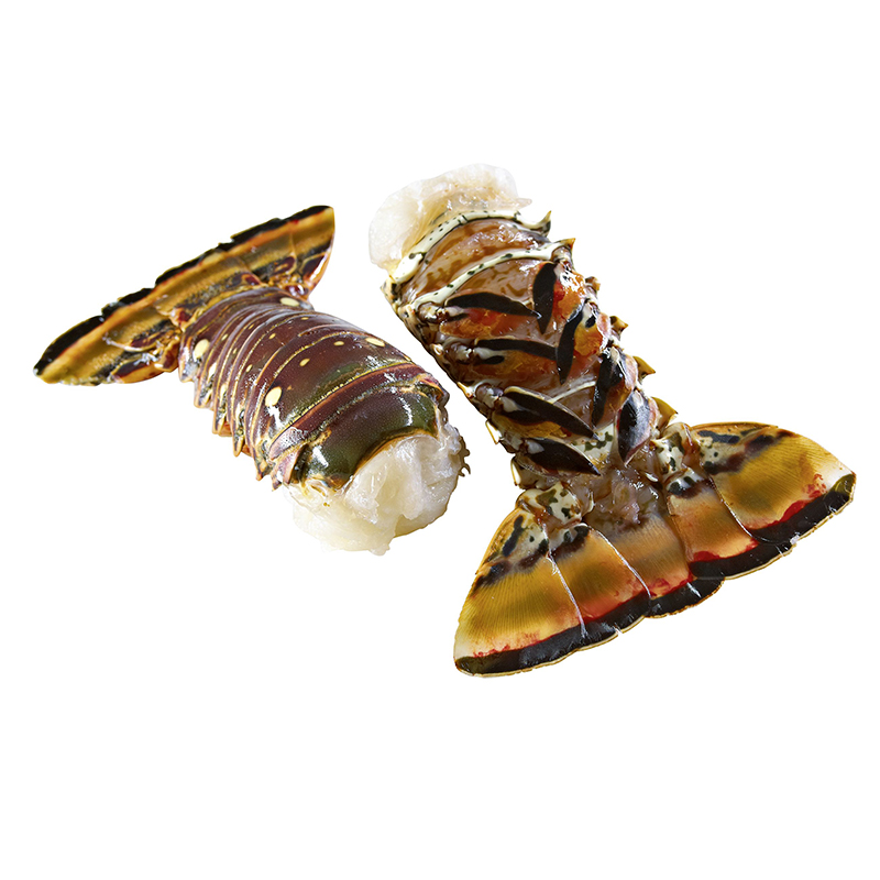 MSC Rocklobsterschwänze mit Schale