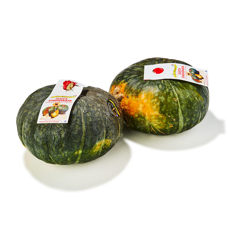 Kürbis Delica "Zerbinati"