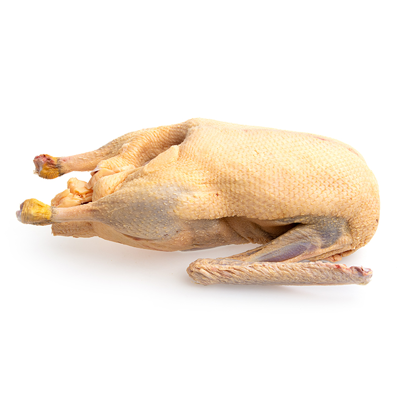 Gans-4-Korn-