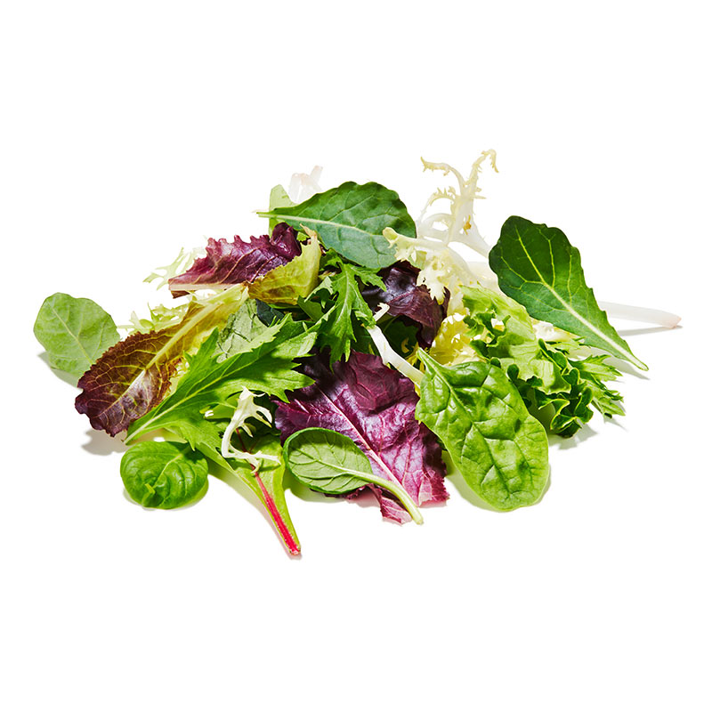 Feuilles de salade, jeunes, melangées "Keltenhof"