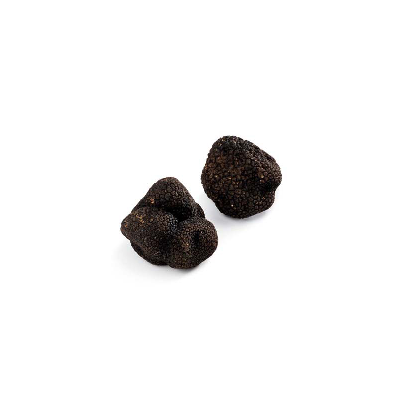 Truffe noire d'été Tuber Aestivum
