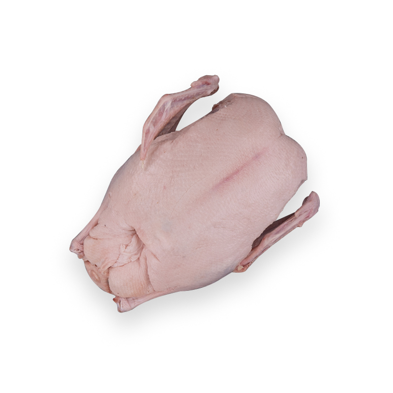 Gans 4-Korn pff 3x3-4kg10.5kgCrt DE