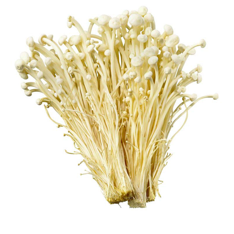 Enoki