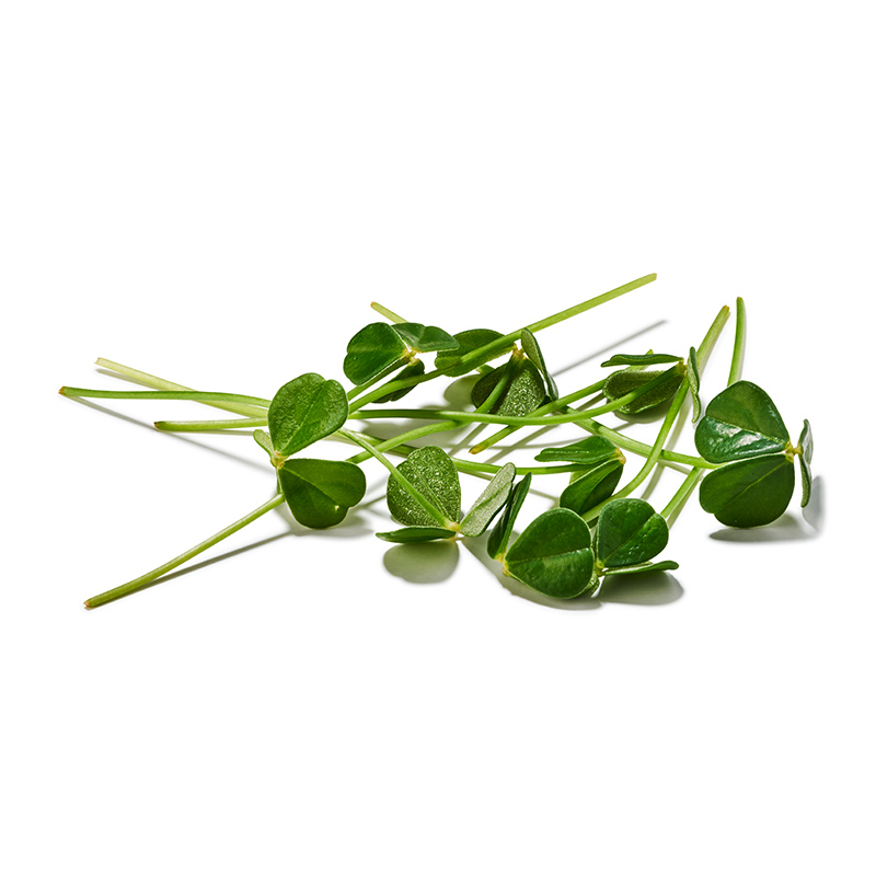 Citra Leaves "Koppert Cress"