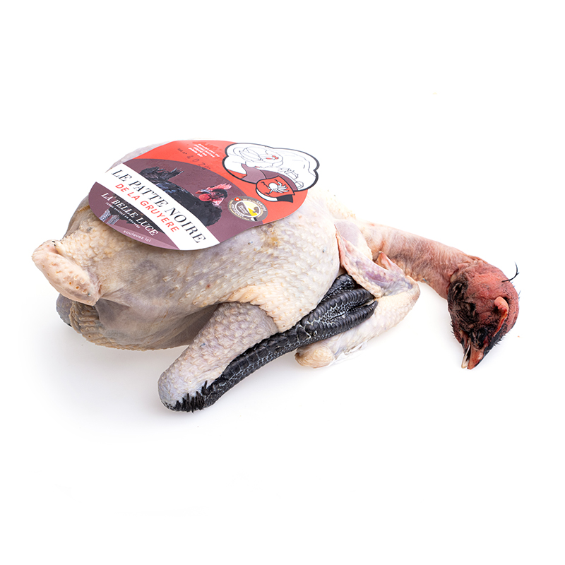 Poulet-Noir-