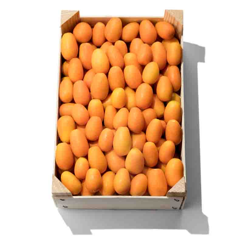 Kumquats-MD-