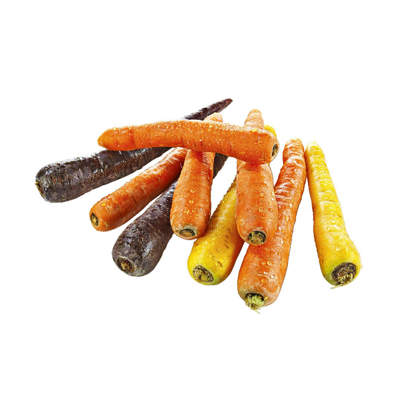 Karotten Mix dreifarbig