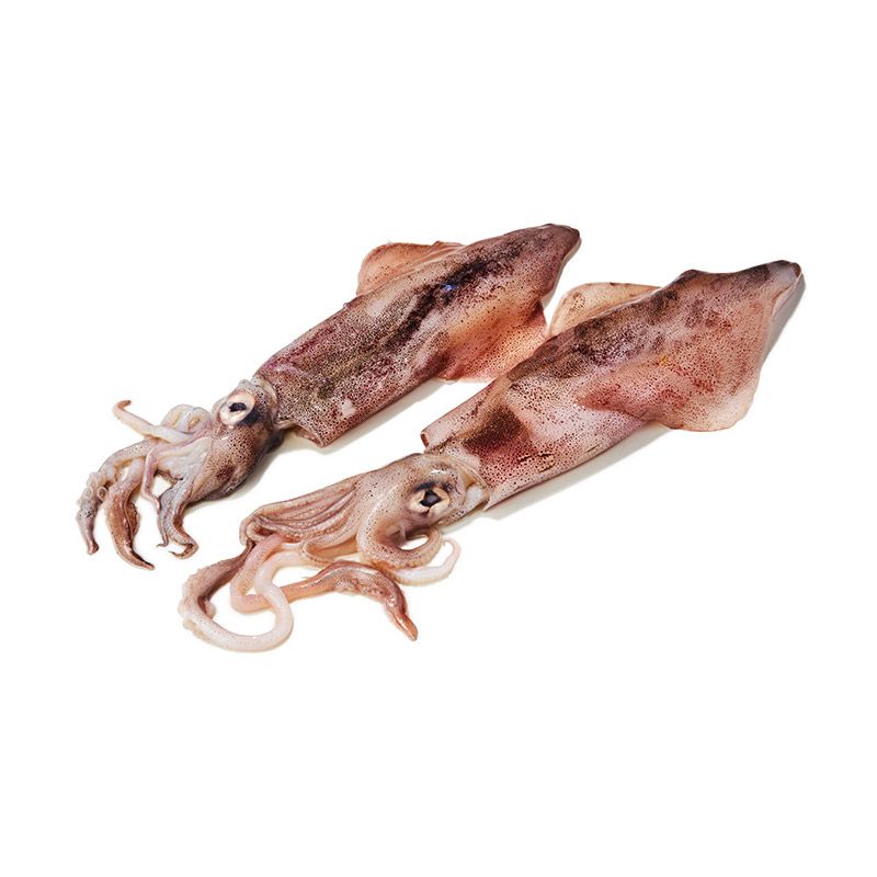 Calamares geputzt