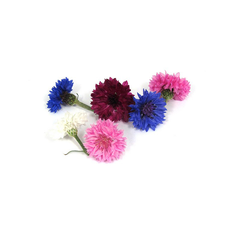Kornblumen-mix-