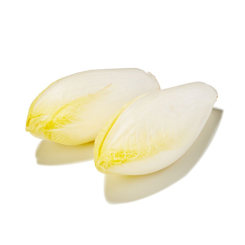 Chicorée (S)