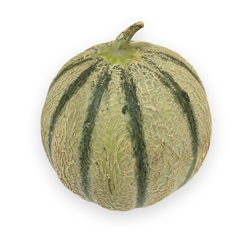 Melons Charentais (S)